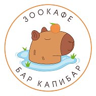 Бар Капибар