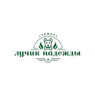Лучик надежды | Белгород