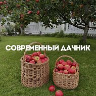 Современный дачник