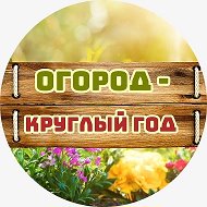 Огород - круглый год | Сад, Дача, Заготовки