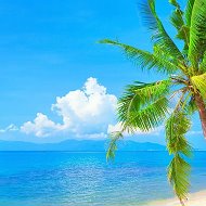 Deep House Музыка