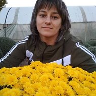 Мультифлора