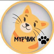 Мурчик 🐱/Котики/Пушистики/Животные/Юмор»