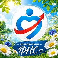 ДОБРОВОЛЬЦЫ ФНС