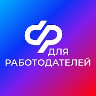 СФР для работодателей
