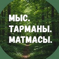 Новости: Мыс, Тарманы, Матмасы. Тюмень
