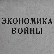 Мобилизационная экономика