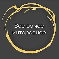 Все самое интересное | Видео | Факты