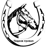 Алтай: конюшня, глэмпинг