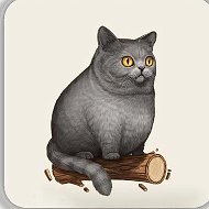 Кот. ru