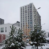 ЖК Москвичка