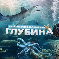 Глубина