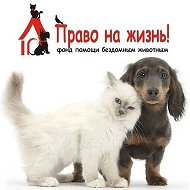 Помощь животным Ноябрьска