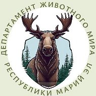 Департамент животного мира Республики Марий Эл