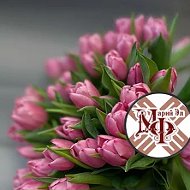Минфин Республики Марий Эл