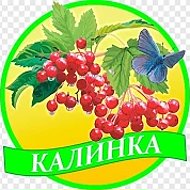 *КАНАЛ* МАДОУ МО г. Краснодар "Детский сад 184"