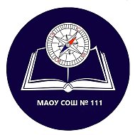 МАОУ СОШ №111