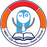 МБОУ "СШ "Перспектива"