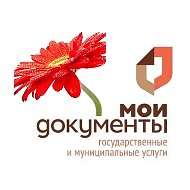 МФЦ Костромской области