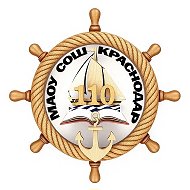 МАОУ СОШ №110