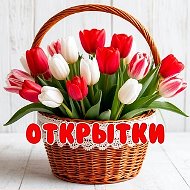 Открытка дня | дарим настроение