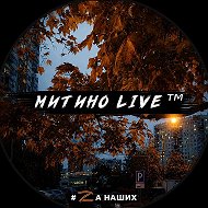 Митино