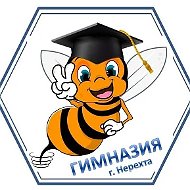 МОУ гимназия г. Нерехта