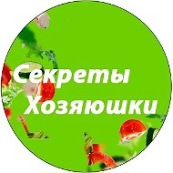 Секреты Хозяюшки