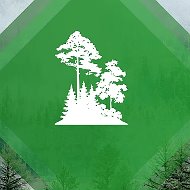 Министерство лесного хозяйства и лесопереработки Хабаровского края