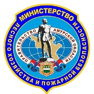 Амурский минлес