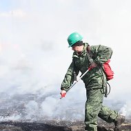 Главное управление лесами Челябинской области