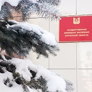 Госжилинспекция Курганской области