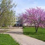 МБОУ-СОШ №12 ст.Новониколаевской (Краснодарский край ОО)