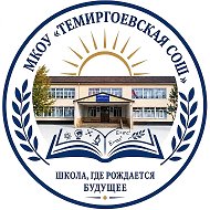 МКОУ «Темиргоевская СОШ»