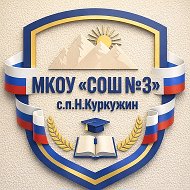 МКОУ "СОШ №3" с.п.Н.Куркужин