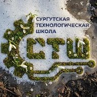 МБОУ "СТШ"