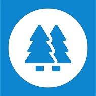 Минлеспром29