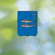 Хвалынский район