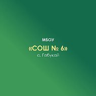 МБОУ "СОШ № 6" а. Габукай
