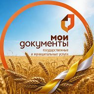 Уполномоченный МФЦ в Ставропольском крае