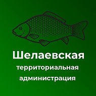 Шелаевская территориальная администрация