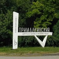 Местная администрация  сельского поселения Янтарного