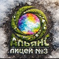 БМАОУ лицей N3