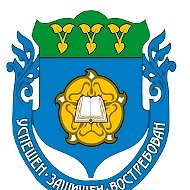 МАОУ лицей №39