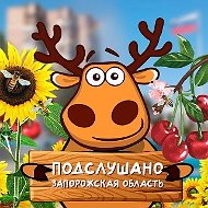 Подслушано Запорожская область