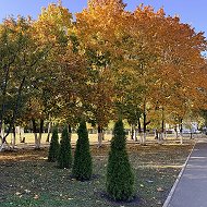 МБОУ СОШ №63 г.Пензы