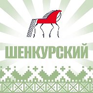Шенкурский муниципальный округ