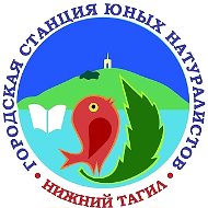 Информационный канал МАУ ДО ГорСЮН г. Нижний Тагил