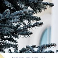Департамент финансов Тюменской области
