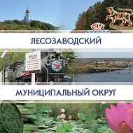 Лесозаводский муниципальный округ